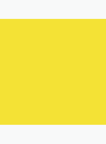 Bona SuperSport Paint 1 Gallon Light Yellow